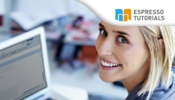 Schnelleinstieg in SAP