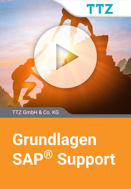 Grundlagen SAP Support