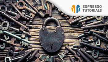 SAP Authorization Concepts – Design and Maintenance