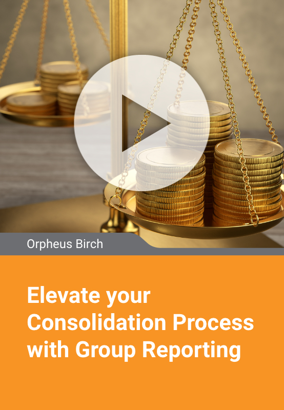 Elevate your Consolidation Process with Group Reporting
