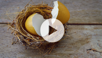Bestellpunktdisposition in SAP S/4HANA