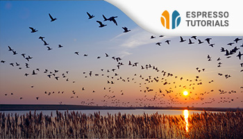 Grundlagen der Datenmigration in SAP S/4HANA mit dem Migrationscockpit und Migrationsobjektmodellierer