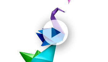 Central Finance in Transition: Implications of Moving from ECC to Greenfield S/4HANA