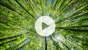 Predictive and Demand-Driven MRP in SAP