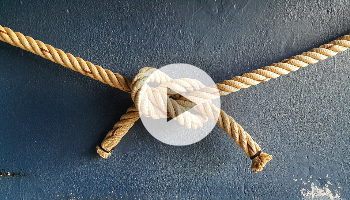 Ausschreibungen und Angebote (Fiori-Prozess)