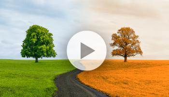 Ermittlung von Ware in Arbeit in SAP S/4HANA