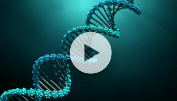 DMEE vs. DMEEX: Die strategische Wahl für Ihre ISO 20022-Migration