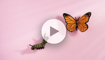 S/4HANA – a Transformation for Developers & Consultants, not just Systems