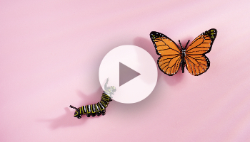 S/4HANA – eine Transformation für Entwickler & Consultants, nicht nur für Systeme