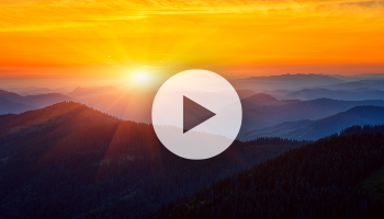 What End Users Really Experience at Go‑Live: Success Factors and Key Lessons Learned from a SAP S/4HANA Greenfield Implementation