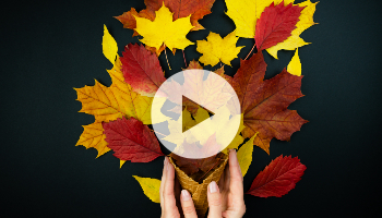 Gut- und Lastschriften mit SAP S/4HANA