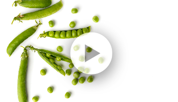 CO-Kompaktkurs in SAP S/4HANA