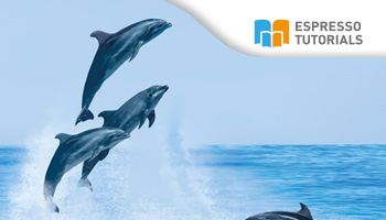 Schnelleinstieg in SAP S/4HANA Finance