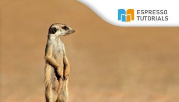 Praxishandbuch SAP S/4HANA Controlling