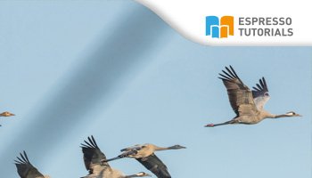 Praxishandbuch Vertrieb (SD) in SAP S/4HANA