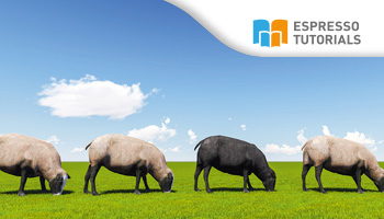 Kreditmanagement mit SAP S/4HANA