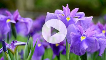 Gérer la Comptabilité Financière sur SAP