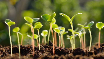 S4GL-100 Grundlagen SAP und Navigation FIORI Schulungsunterlagen